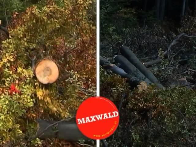 Treuils MAXWALD par NIDAL SASU