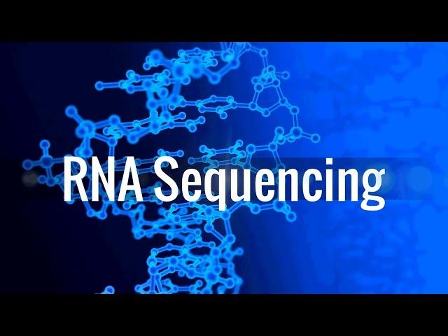 RNA Sequencing