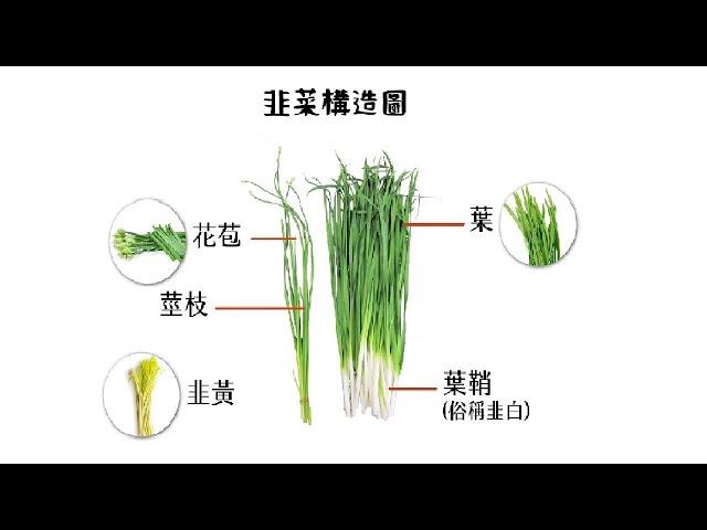 20250302 大江、巨有科技、夏都(有人敲碗)。