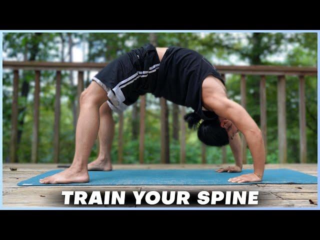 BODYWEIGHT BRIDGE: Train Your Spine, Reduce Back Pain, Boost Athleticism