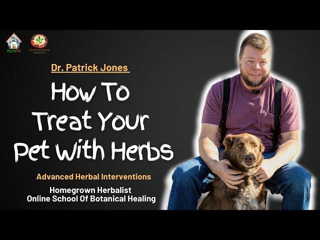 Herbal Pet Care - How To Use Natural Medicines For Your Furry Friend!