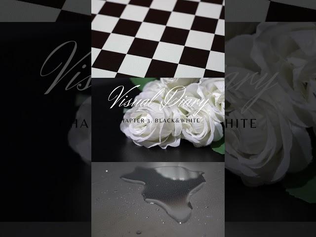 Studio Whimsy | Wonderland in Alice | shorts | Visual Diary | BLACK&WHITE | Art Film