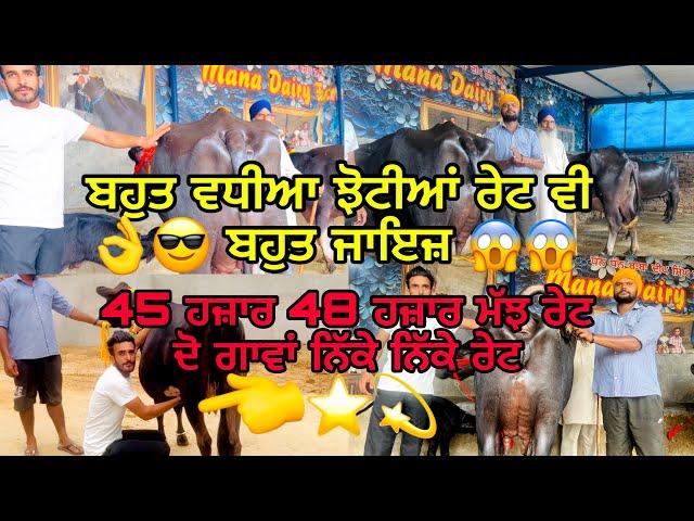 27 September 2024 ਫ਼ੋਨ 8427407053ਮਾਣੇ ਬਾਈ ਕੋਲ 8 ਟੋਪ ਦੇ ਨਗੀਨੇ ਰੇਟ ਬਿਲਕੁਲ ਨਿੱਕੇ ਨਿੱਕੇ ⭐️⭐️