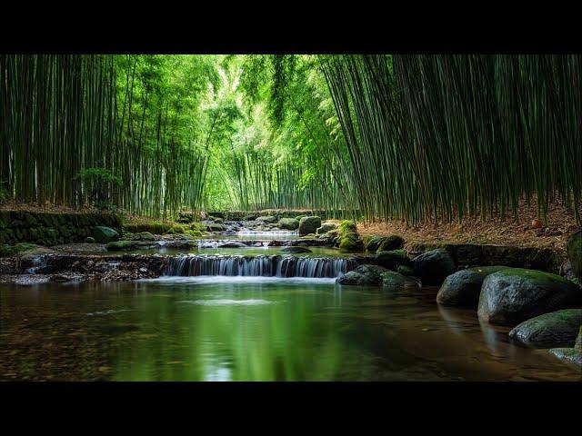 Relaxing Babbling Brook in Bamboo Grove Sounds | Nature Sounds For Sleeping  | White Noise |