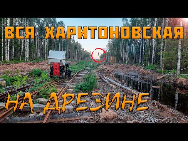 Белой ночью на дрезине. Вся Харитоновская (Нюбская) УЖД! Часть 3