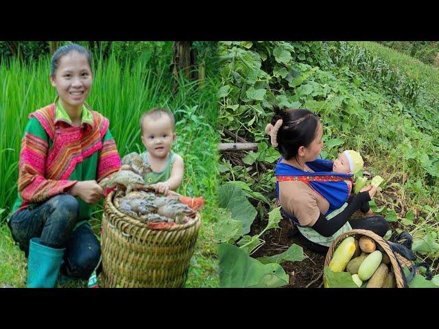 Single mother: Ly Tieu Ca's younger sister, The baby is growing up and cute