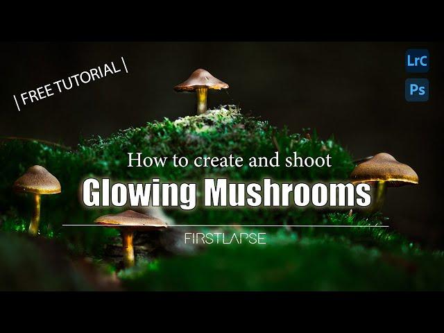 How to create & photoshoot GLOWING illuminated mushrooms in the forest. FREE fungie tutorial!