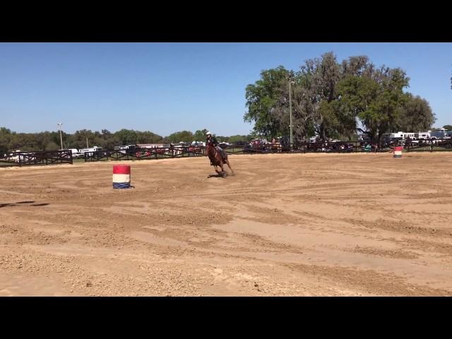 Angel Rae Miller and Run N Wonder making another confident run march 2017