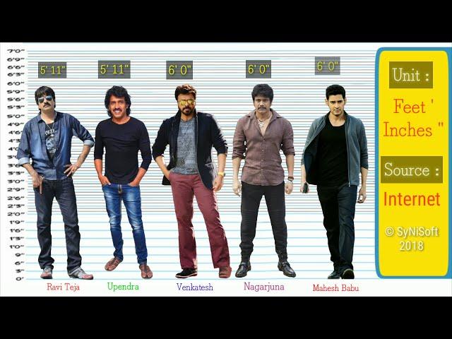 Tollywood Actors Height Comparison | All Superstars from Tollywood