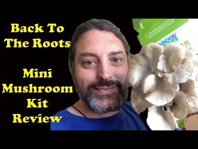 Back to The Roots Mini Mushroom Kit - My Growing Mushroom Review