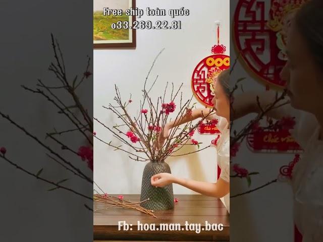 Một bình hoa đào đẹp mang tới màu sắc cho không gian nhà bạn, gọi đặt hoa đào O33269228I