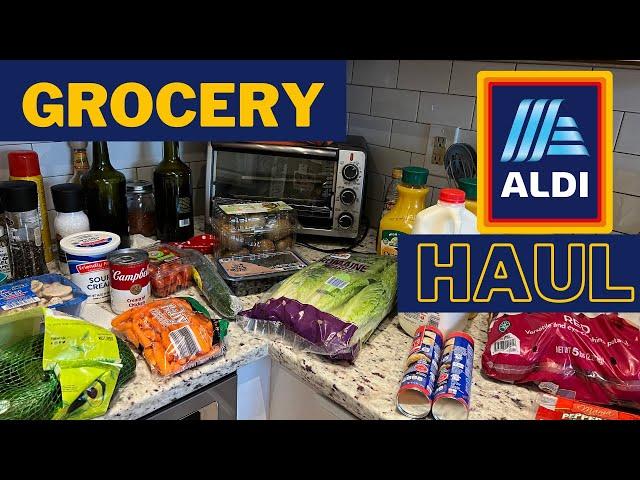 Aldi Haul | January 2023 Grocery Haul & Meal Plan