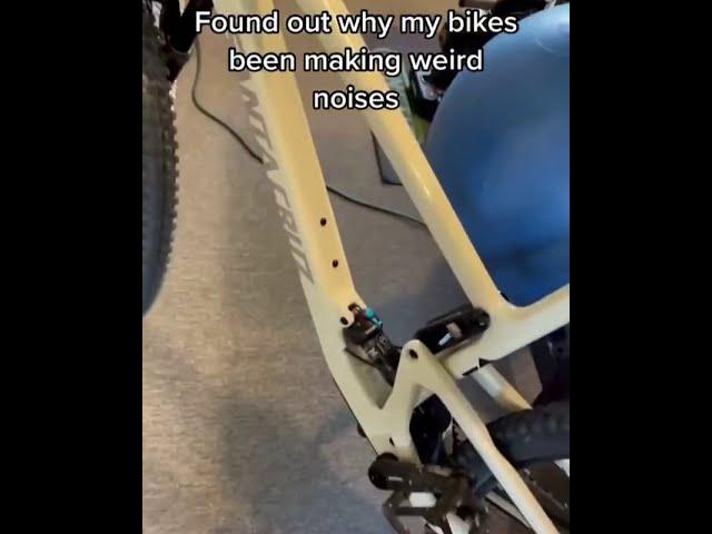 He's been hiding 