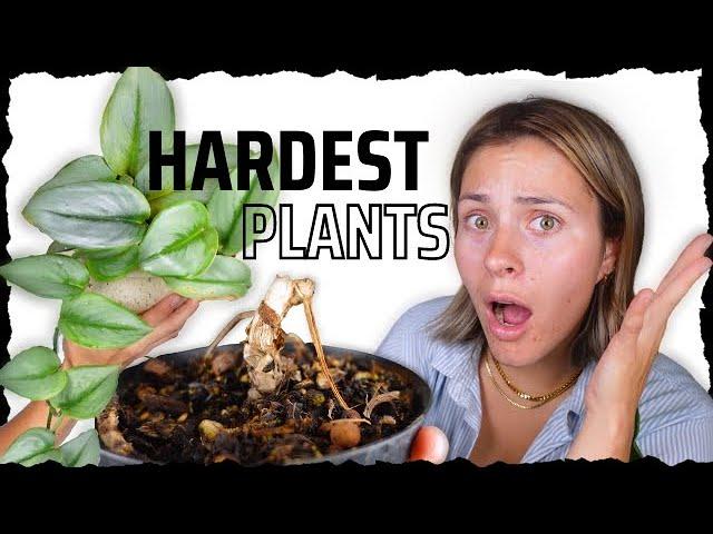 My Top Hardest Houseplants! | Difficult Indoor Plants to Care For!