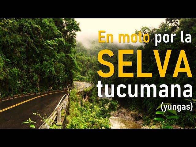 Cross the JUNGLE on a MOTORCYCLE. Trip through the Yungas of TUCUMAN ► #ClubRalenti ◄ Argentina