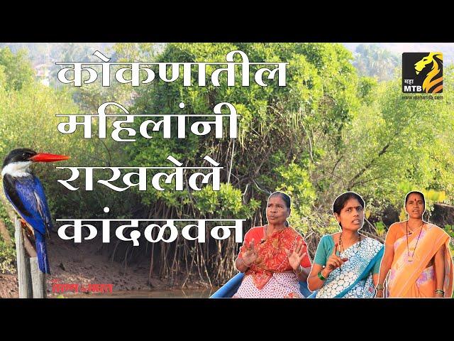 कोकणातील महिलांनी राखलेले  कांदळवन | How tourism is aiding women's to preserve mangroves in kalinje