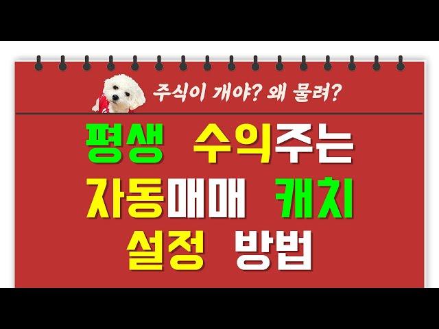 [웃지] 평생 수익주는 자동매매 캐치 설정 방법