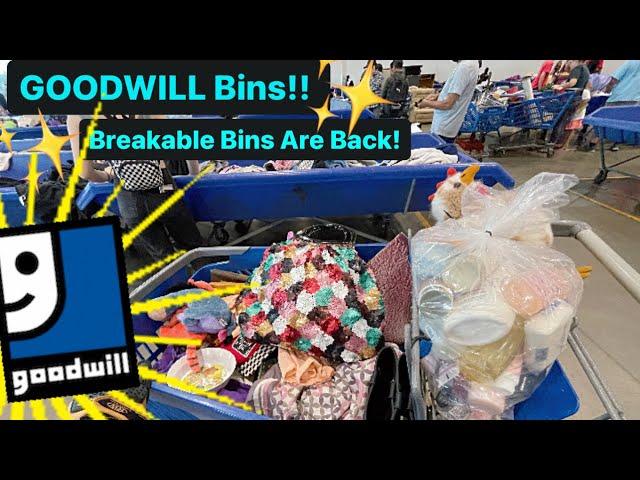 Let’s Go To Goodwill Bins! I Made A Mistake! & Breakable Bins Are Back! Thrift With Me