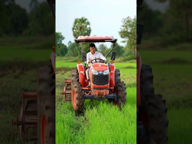 Plowing Green rice #shortvideo #shorts #farmequipment #farming #excavator #shortsfeed #foryou