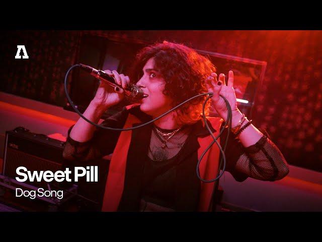 Sweet Pill - Dog Song | Audiotree Live