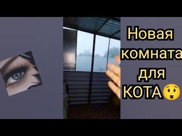 у нас появилась еще одна комната