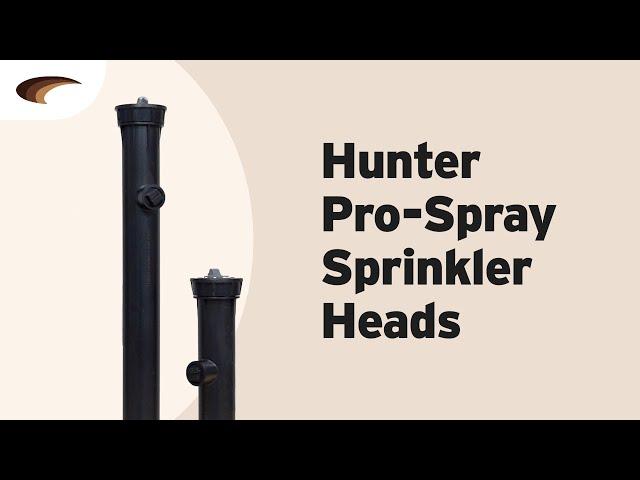 Hunter Pro Spray Heads