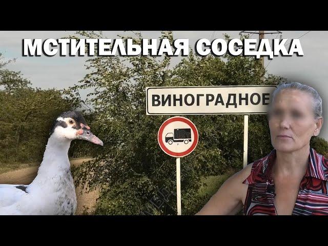 Мстительная соседка