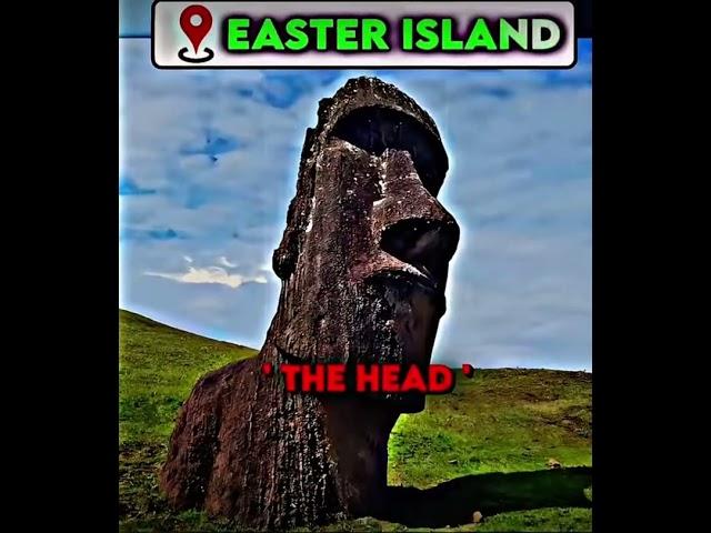 The Moai theory