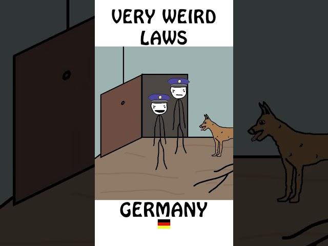 "Very weird laws Germany" #shorts #short #weirdlaws #germany #animals #broccolee