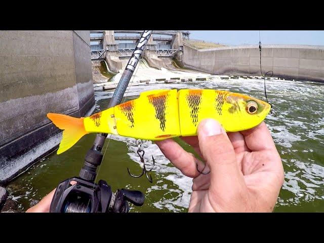 Swimbait Fishing For Spillway BEASTS!