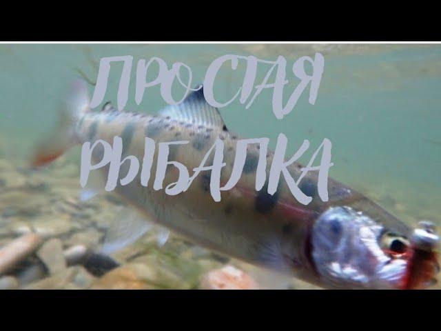 РЫБАЛКА ПРИМОРСКИЙ КРАЙ Р. СУЧАН ПЕСТРУШКА . ЛОВИМ ИЗ ОДНОЙ ЛУНКИ #ПРОСТАЯРЫБАЛКА