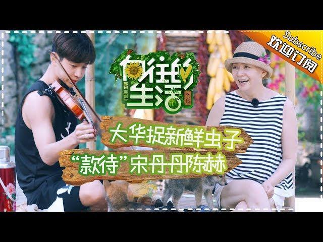 《向往的生活》第1期 宋丹丹母子首次登场蘑菇屋授神曲！蘑菇屋H4组团“搞事情”？Back to field S1 EP1【芒果TV生活风尚频道】