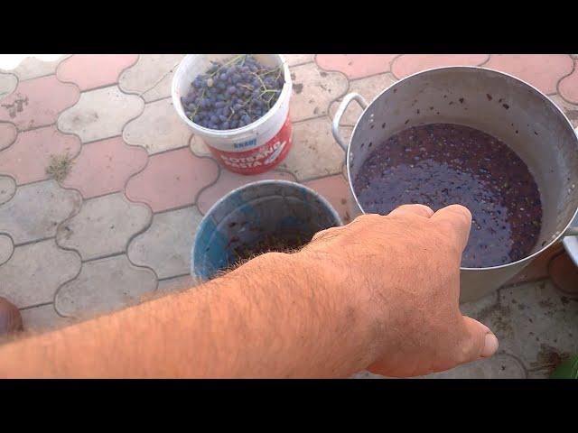 Рецепт приготовления домашнего вина из сорта Октябрьский ранний.2024г.