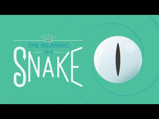 The Meaning of a Snake Sighting - Spiritual Messenger