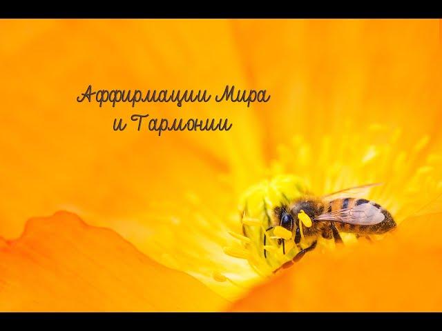 АФФИРМАЦИИ МИРА и ГАРМОНИИ