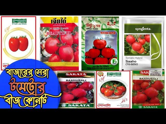 বাজারের সেরা টমেটোর বীজ কোনটি।Which is the best tomato seed on the market? #টমেটো_বীজ #Tomato