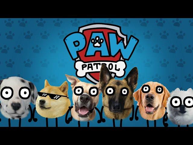 Flea Patrol (A parody of Paw Patrol)