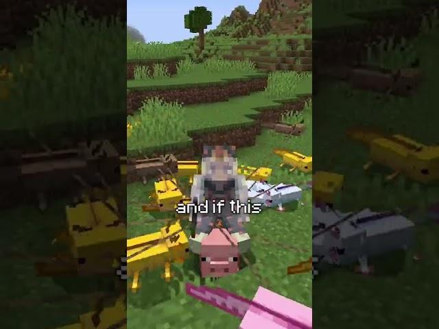 illegal minecraft version