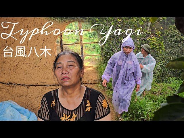 Searching for Nhu After Typhoon Yagi: A Mother’s Call for Help in Searching for Nhu | Ly Phuc Huyen