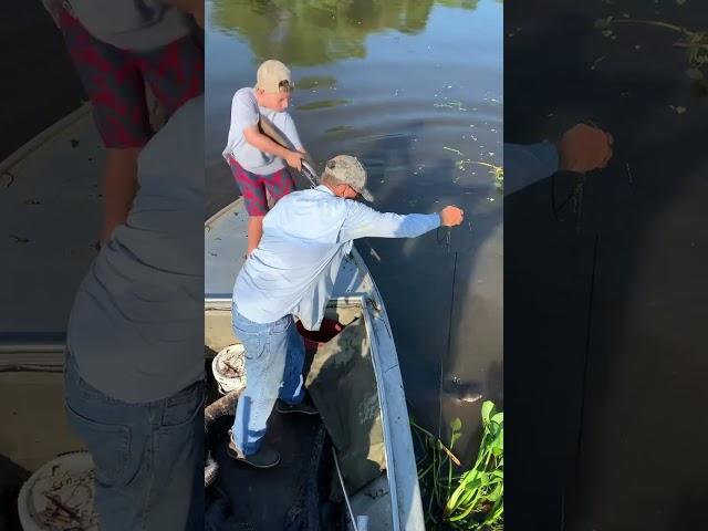Gator hunting!!!