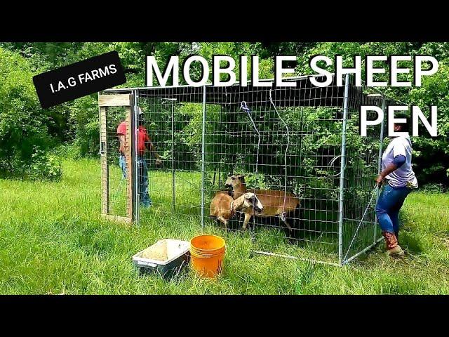 OUR MOBILE SHEEP PEN SETUP & DEEP BEDDING THE CORRALS