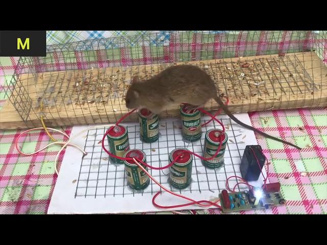 Top 10 Electric Mouse Traps MAY 2019 Part 2