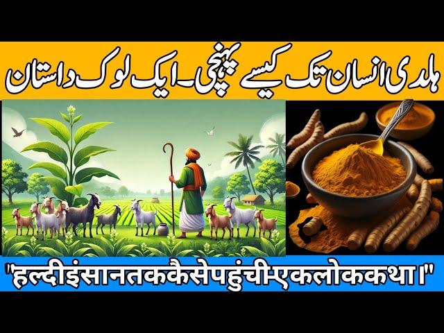 Story of Turmeric | Turmeric role in ayurvedic medicine | Turmeric se ilaj | Turmeric |