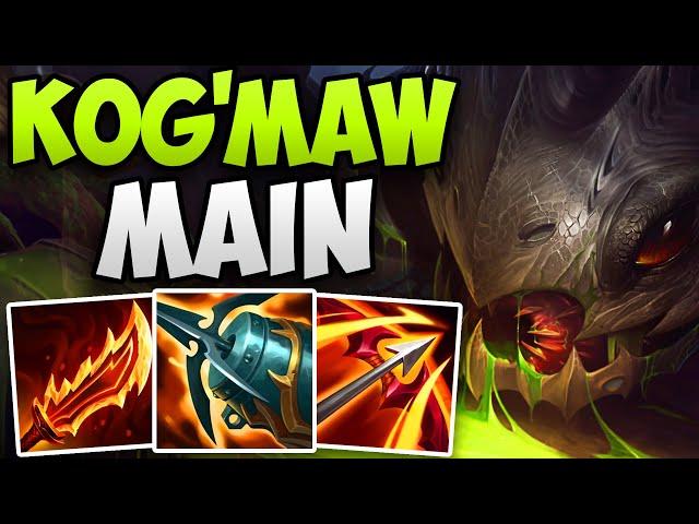 CHALLENGER KOG'MAW MAIN AMAZING ADC GAMEPLAY! | CHALLENGER KOG'MAW ADC | Patch 14.14 S14