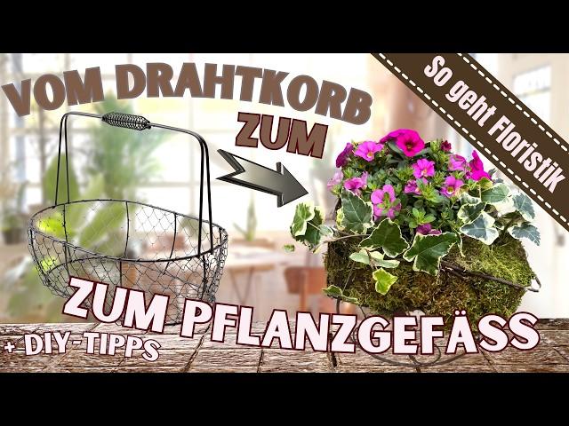 # Tipps  Verwandle deinen Drahtkorb zum Pflanzgefäß - Easy erklärt für die perfekte Bepflanzung