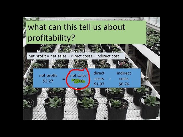 Greenhouse & Nursery Crop Costing & Pricing