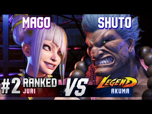 SF6 ▰ MAGO (#2 Ranked Juri) vs SHUTO (Akuma) ▰ High Level Gameplay