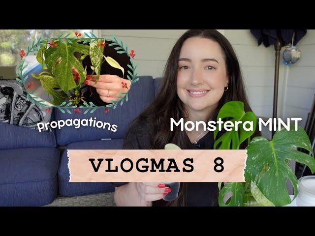 Potting Up Monstera Mint Props  | Vlogmas Day 8