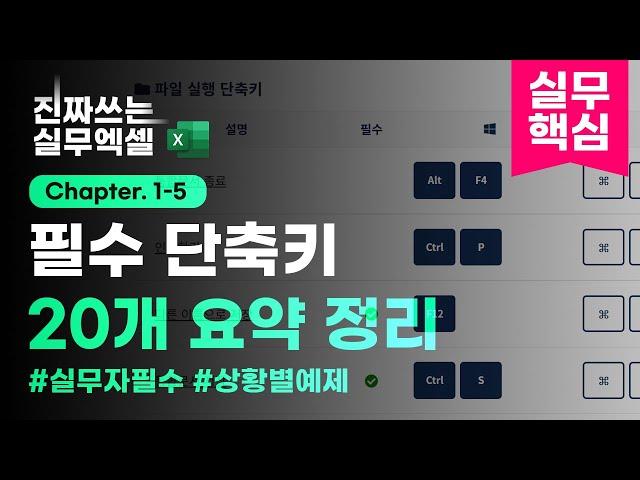 엑셀 필수 단축키 모음, 이 영상 하나로 총정리 하세요! | 진짜쓰는 실무엑셀 1-5-1