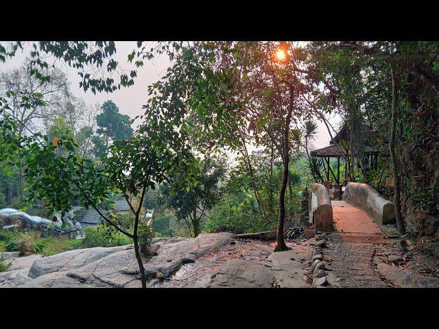 Monk's Trail Hike (Wat Pha Lat) Chiang Mai, Thailand | Morning Walk | 4K